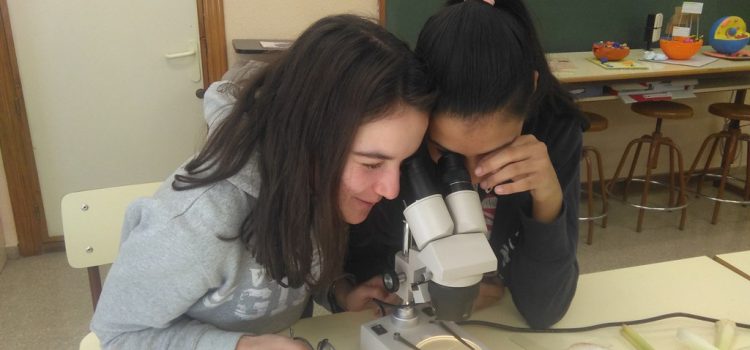 Alumnos de 3º y 4º de la ESO de la asignatura de Biología y Geología se sumergen en el mundo microscópico
