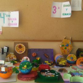 Organizamos conocimientos de Física y Química, y Biología y Geología en 3º de la ESO:16-10-17