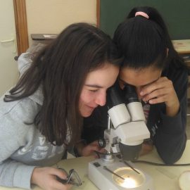 4 Vídeos resumen de las actividades realizadas en 3º y 4º de ESO en las asignaturas de Biología y Geología, y Física y Química:25-dic-2017