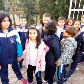Nuestros alumnos de Ed. Primaria y ESO en Abycine y Abycinitos:26-10-18