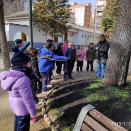 2º de Ed. Primaria en el Aula de la Naturaleza:21-2-2019