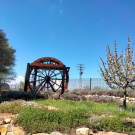 Los alumnos de 3º y 4º de ESO visitan el Jardín Botánico:18-04-22
