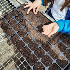 1º y 3º EP Visitan en Jardín Botánico:25-04-22